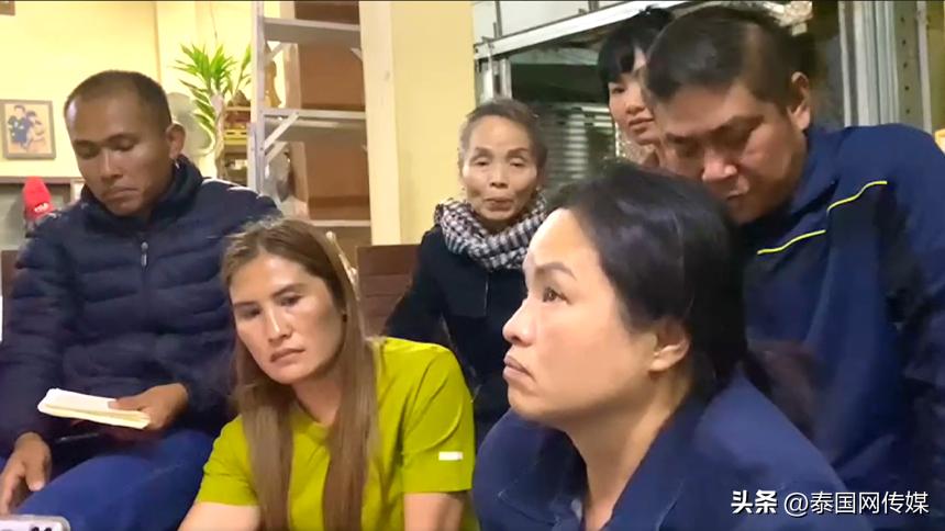 泰国野猪去世,泰国香猪去世视频