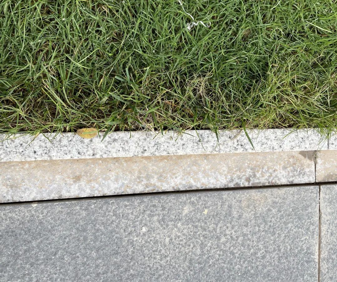 验房金地如期交付,金地2025年交房靠谱吗