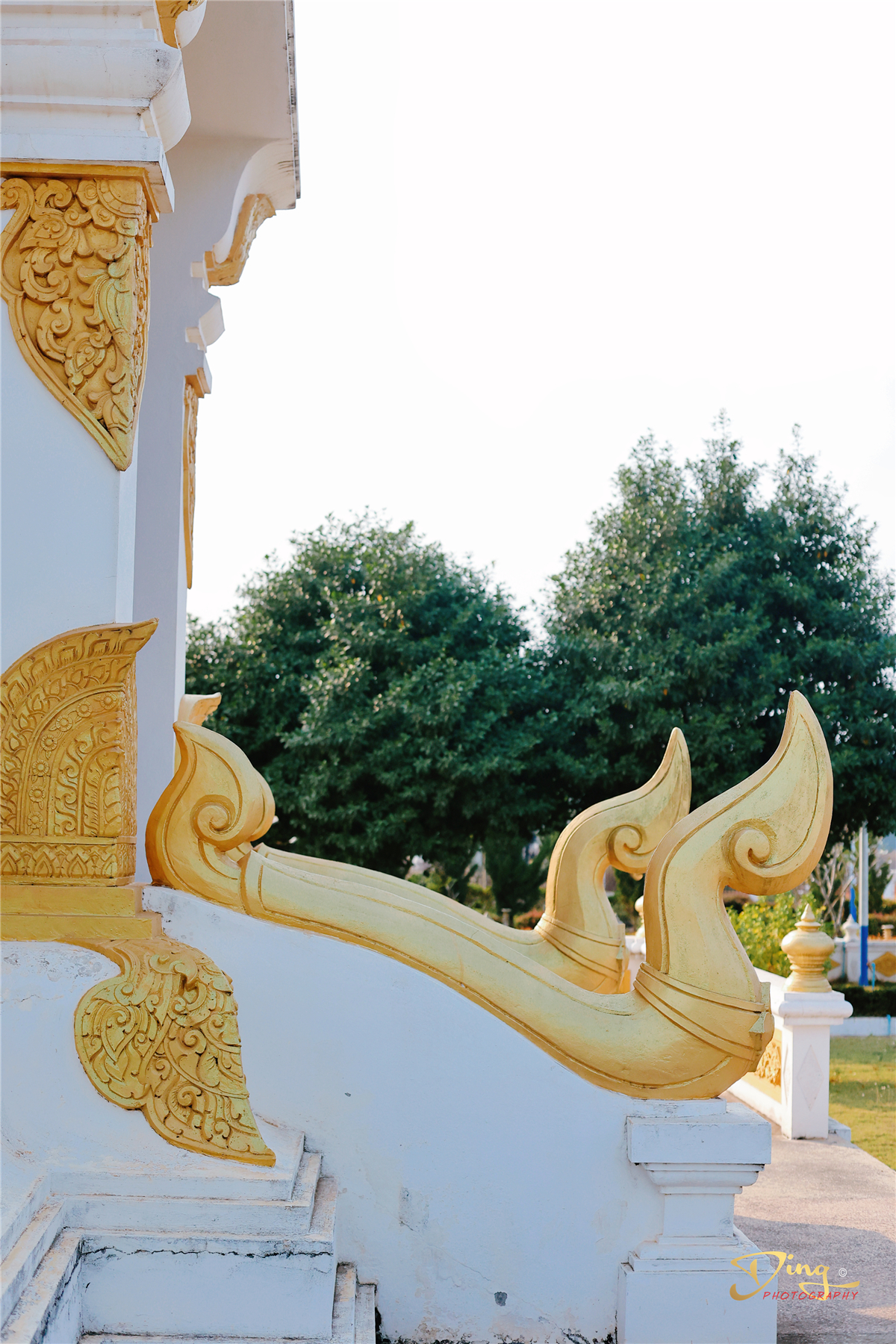 老挝之旅带你了解真实的老挝,去老挝攻略最新