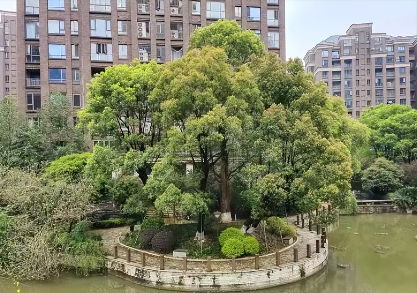 长沙奥林匹克花园二手房,长沙潇湘奥林匹克花园二期房价