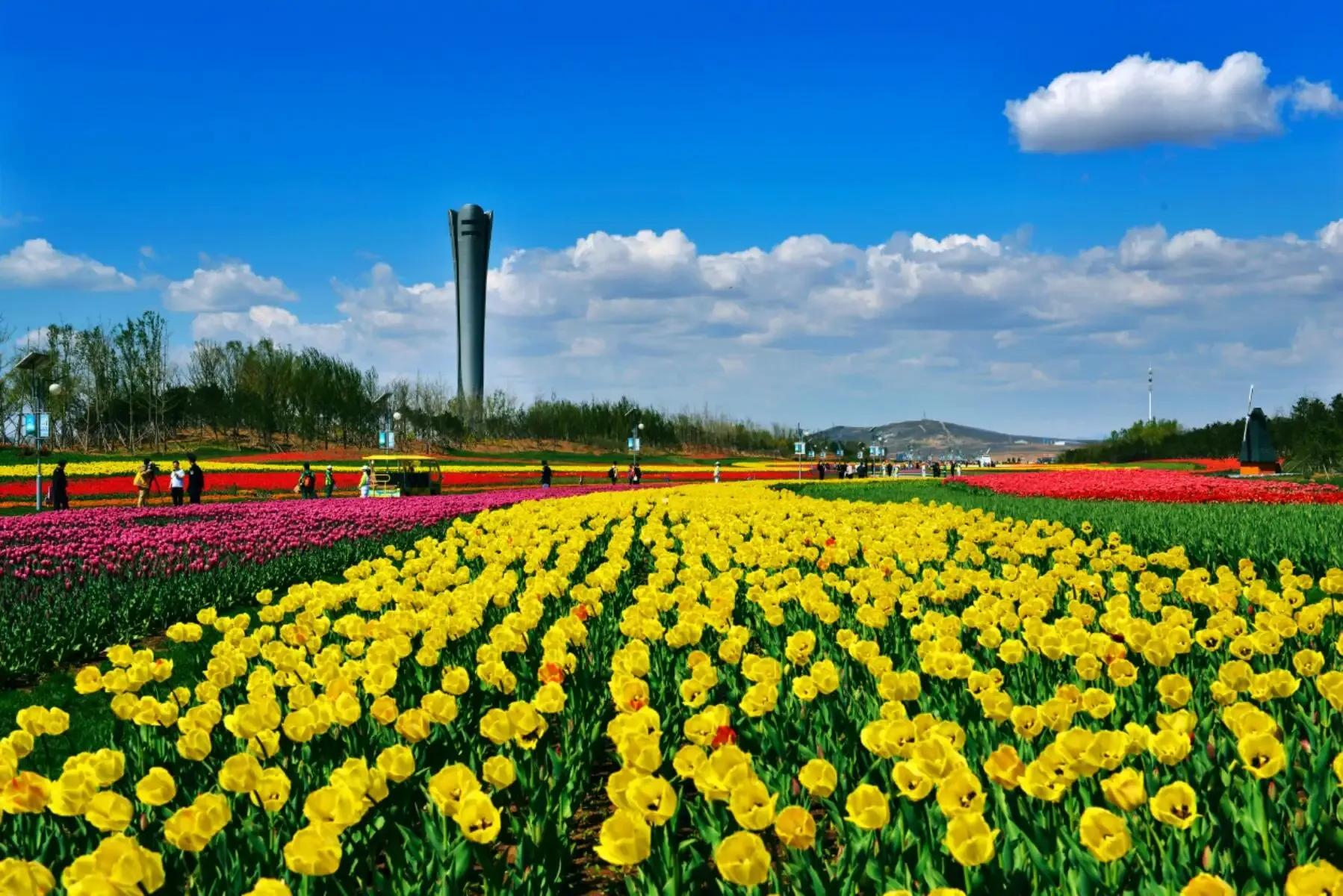 辽宁锦州世博园旅游,辽宁锦州世博园