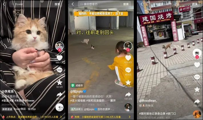 王七叶《买不起》系列再度火爆,文学艺术视频登榜首,有何魅力?