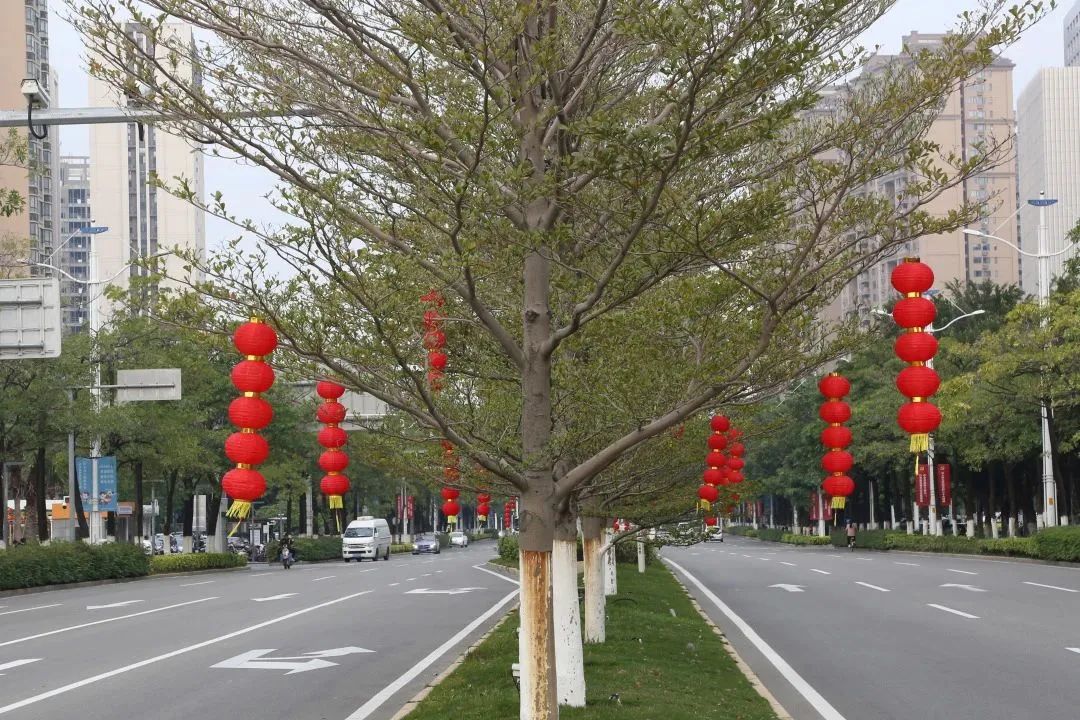 新春走基层年渐近年味浓,新春走基层石头村高挂迎客来