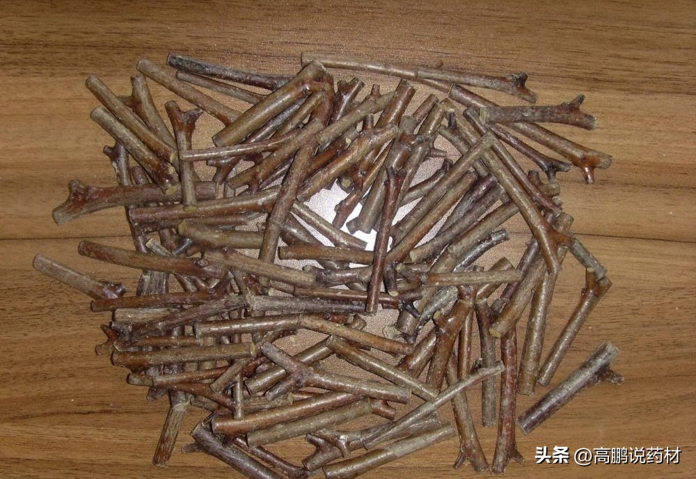 酸枣仁为什么不能大量种植,酸枣仁的种植与前景