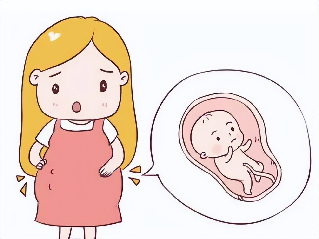 试管小白必看：女性的雌二醇数值达多少pg/mL可以取卵？