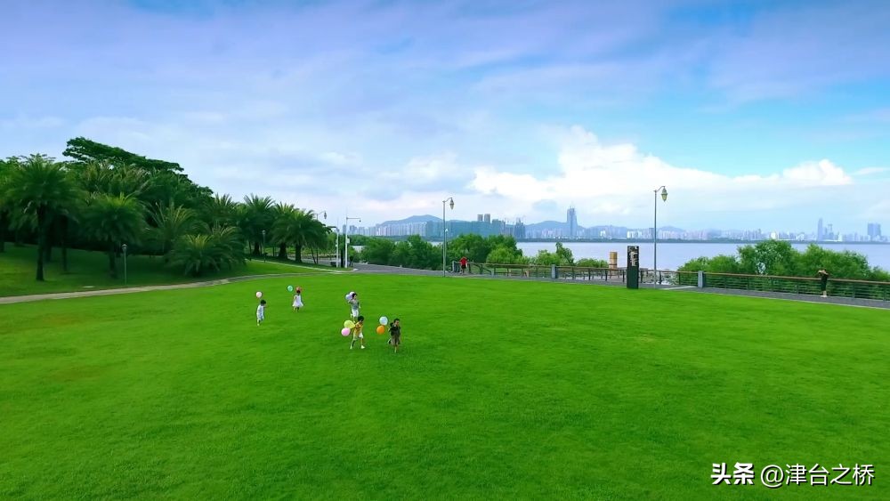 大型政论片初心,大型政论专题片