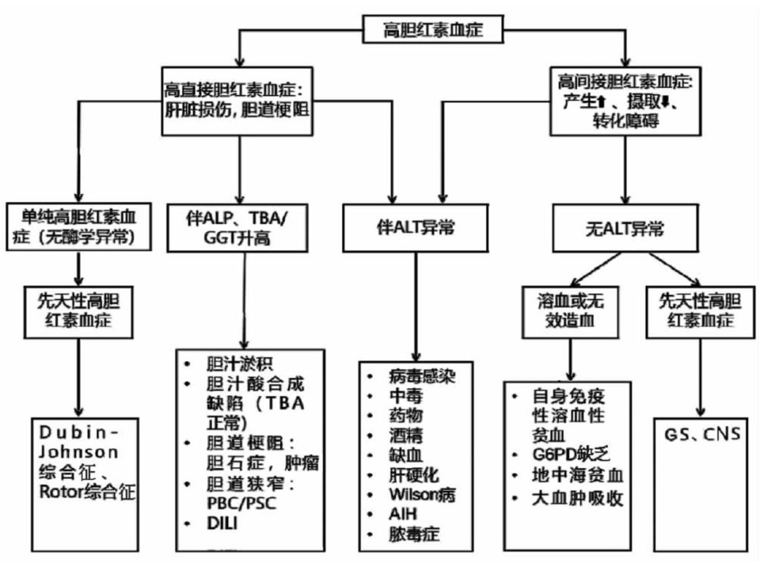 黄疸遗传代谢性疾病,遗传代谢性黄疸怎么治疗