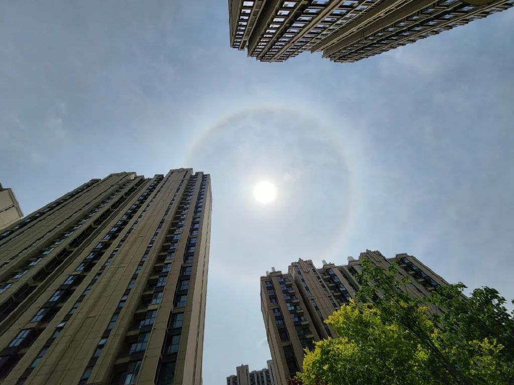 谁是影像机皇,谁才是手机机皇