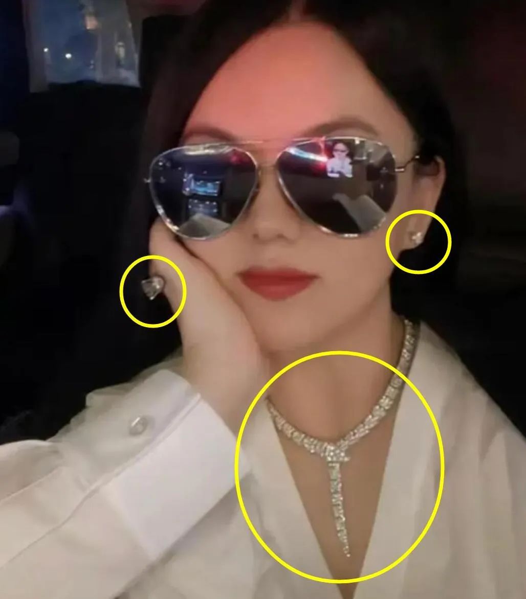 王诗龄回怼炫富,王诗龄炫富回怼网友