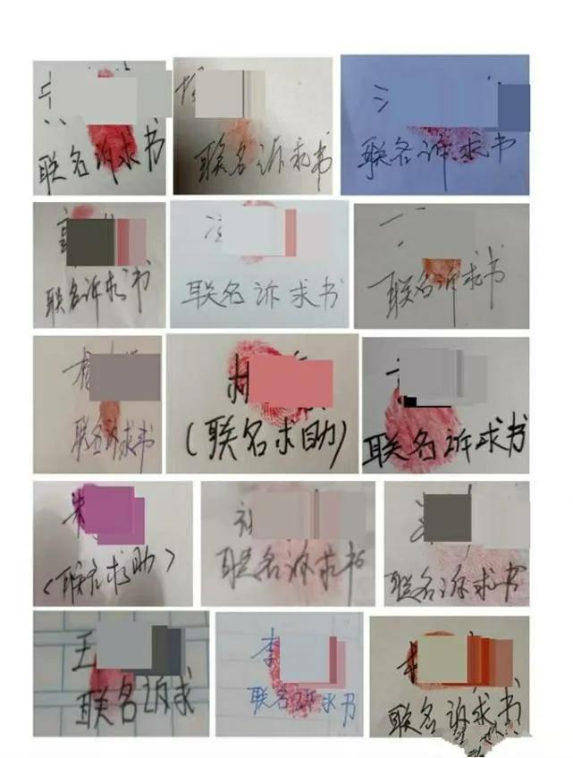 铁马冰河代购案,“铁马冰河”案一审宣判