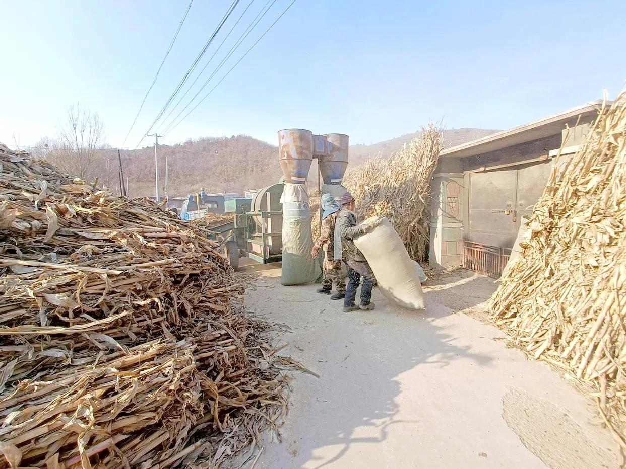 在农村能有什么好的赚钱方法,想在农村挣钱做什么