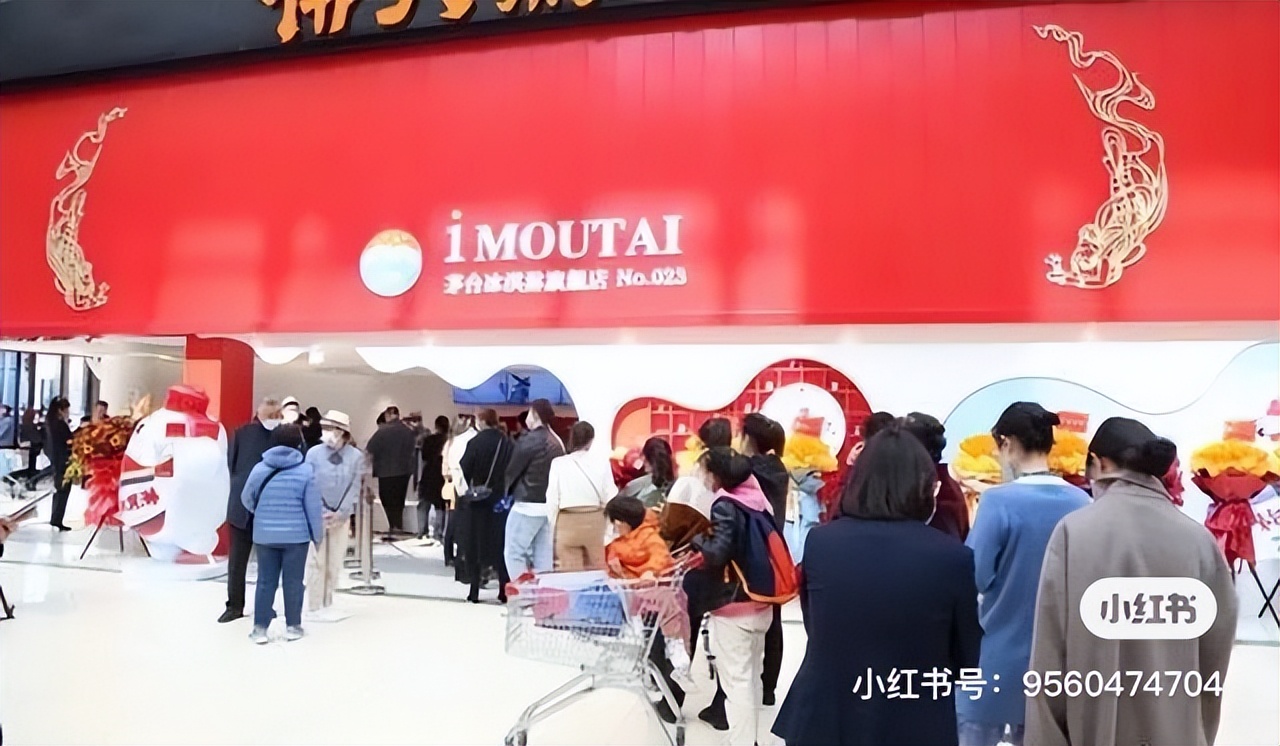 tern燕鸥折叠自行车怎么样,tern燕鸥旗舰