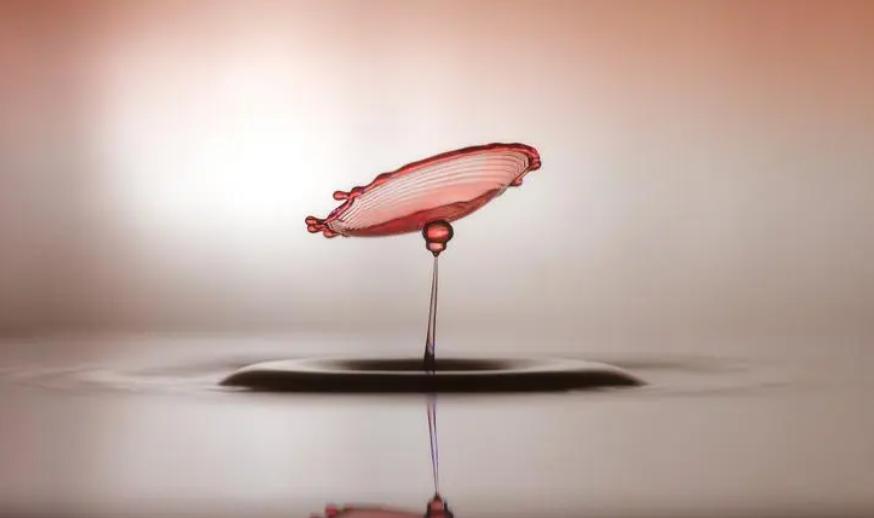 长沙群咏文化传播有限公司抖音短视频教育领导者