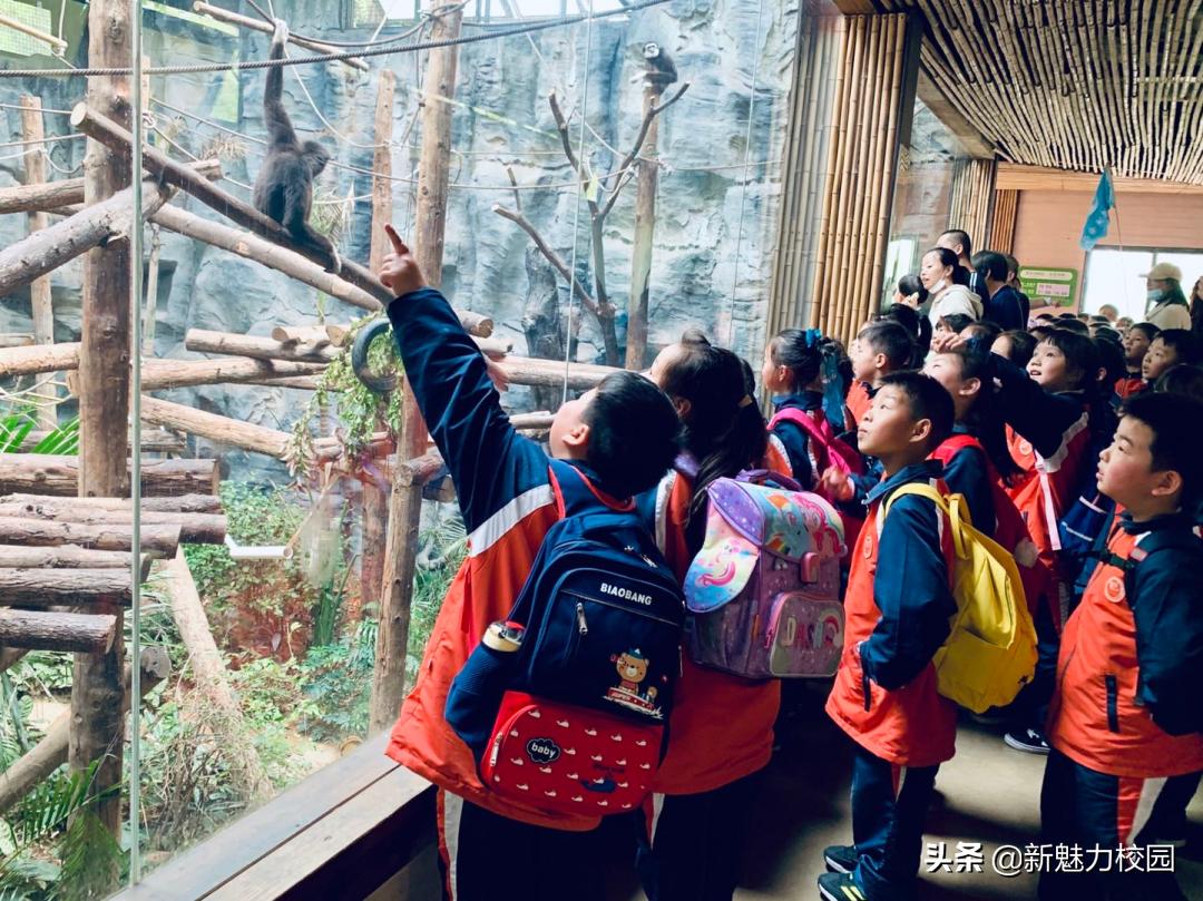 软件谷第二小学怎么样,软件谷二小多少个班