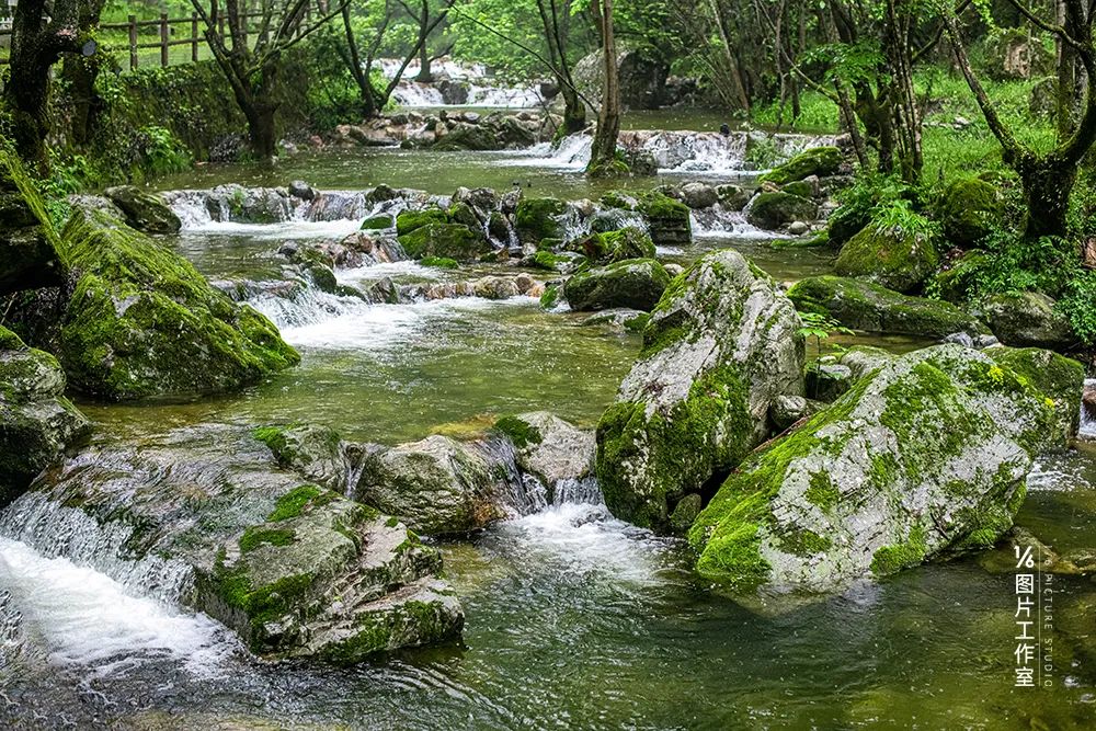 商洛打造中国康养之都金字招牌,中国康养之都商洛