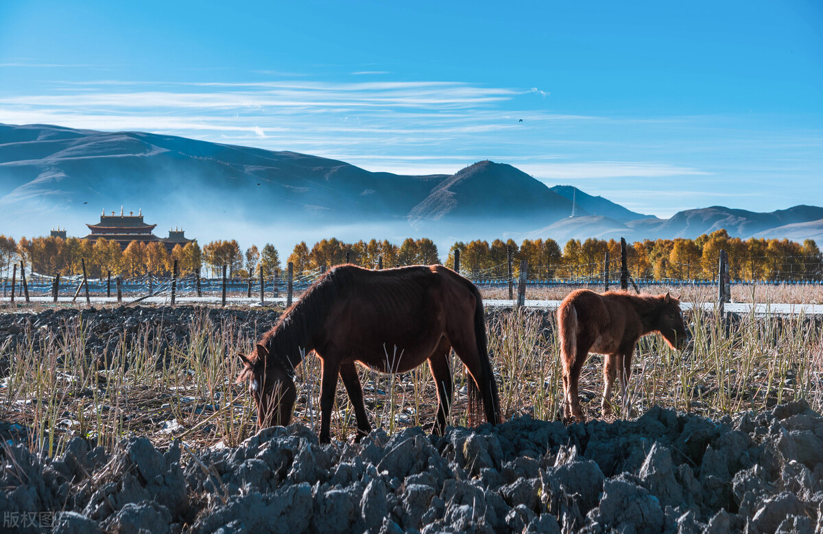 西藏旅游后去西安旅游攻略,新藏线西藏旅游攻略