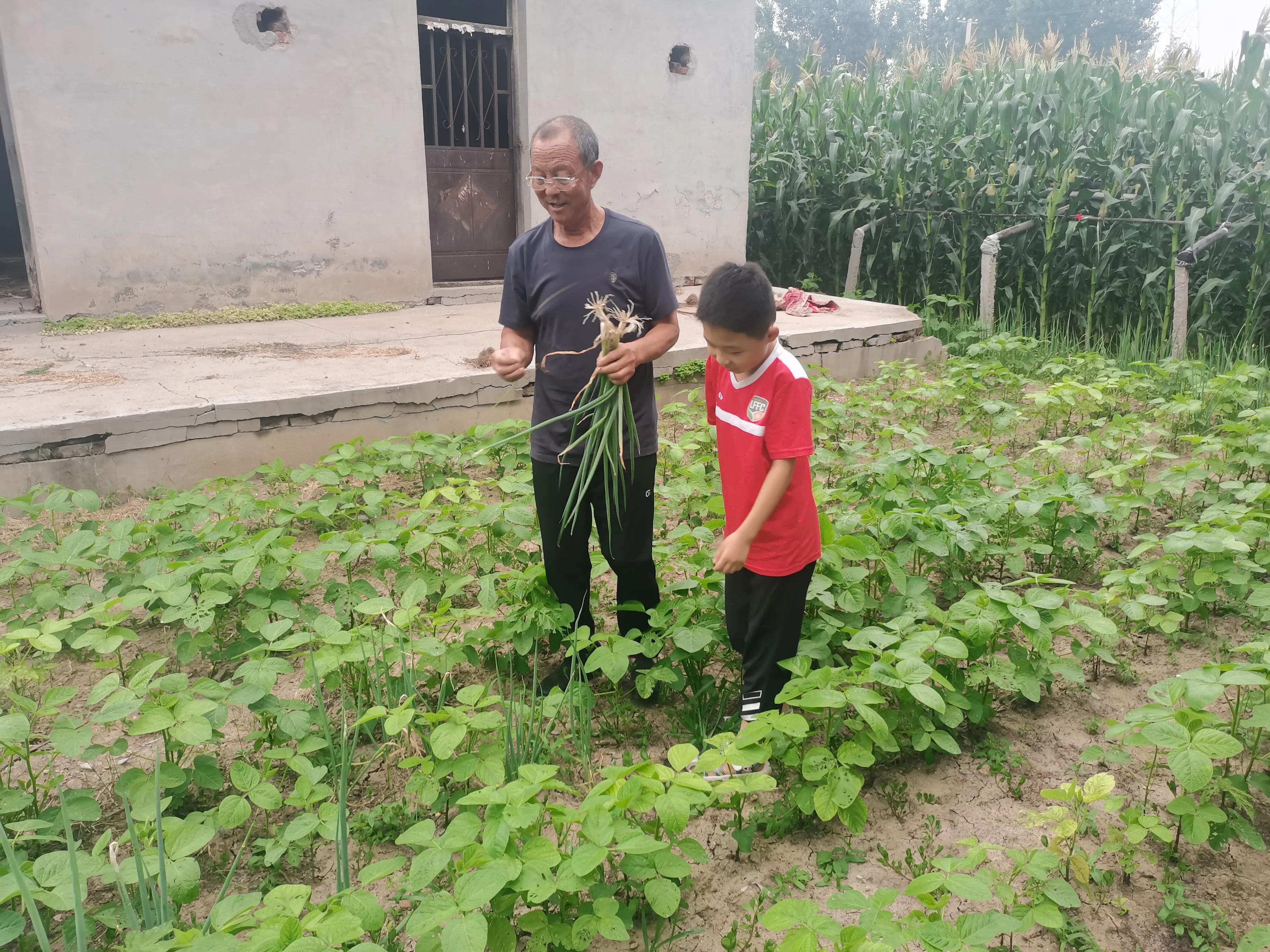 如何让5岁男孩爱上阅读,让8岁男孩爱上阅读