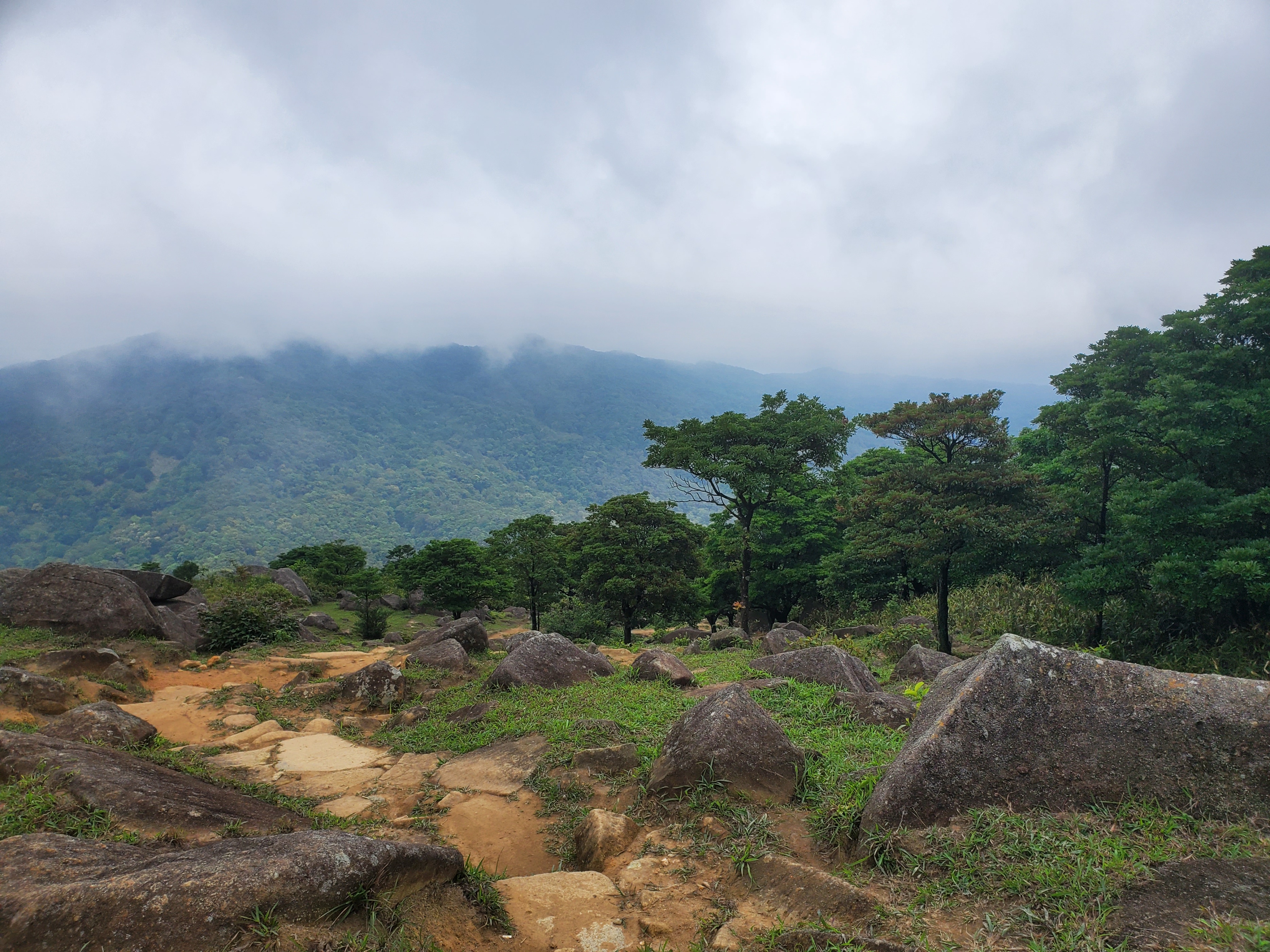 徒步香港大帽山,香港麦径徒步攻略