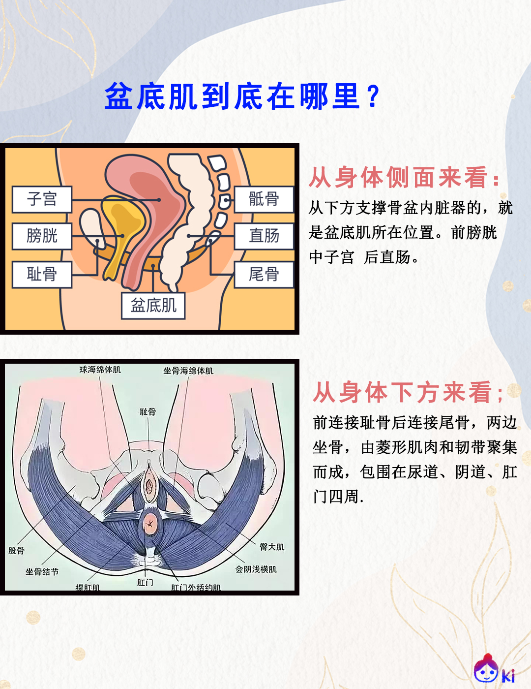 孕产瑜伽老师需要学习哪些内容,孕产老师