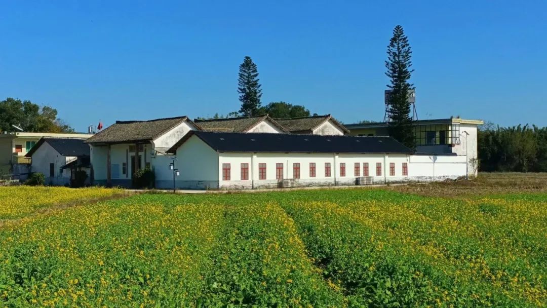 閲戠鍗佹湀鍥藉簡涓鍋囨湡浣忓鏀荤暐,閲戠涔嬬害