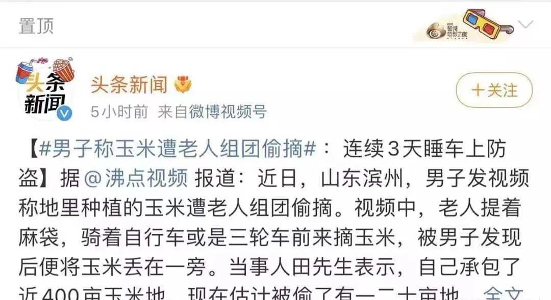 女大学生回乡创业被老人偷,大学生回农村创业被老人偷