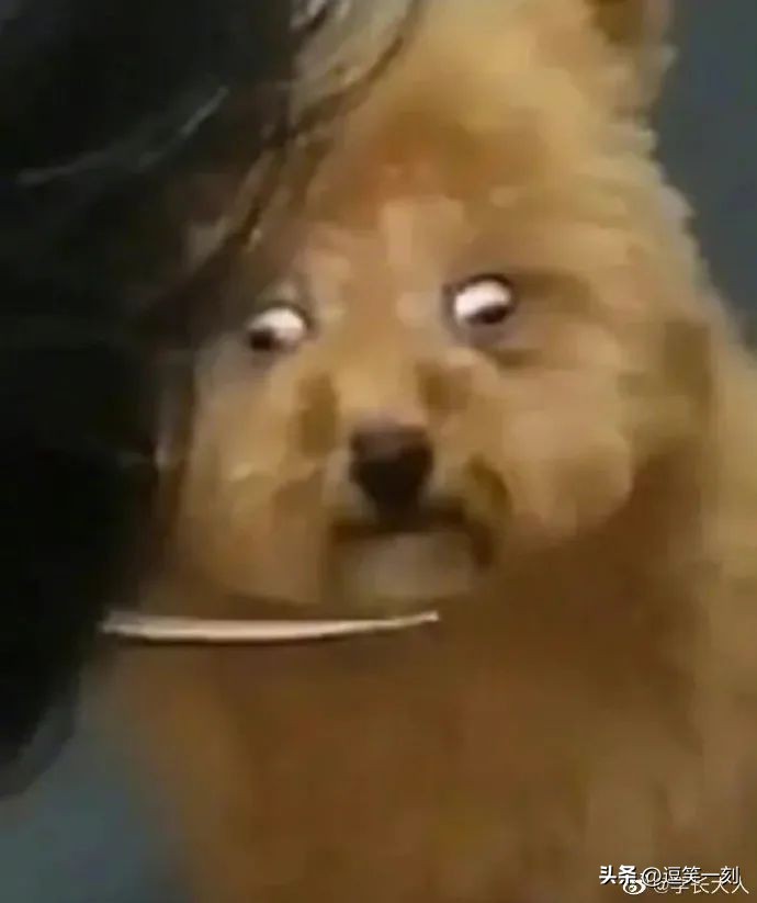 神仙男友的奇葩操作,男友的奇葩脑回路评论区笑不活了