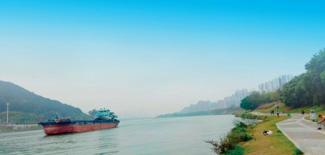 野钓有杂草鲫鱼打窝最佳配方,浮钓打窝怎么诱鱼