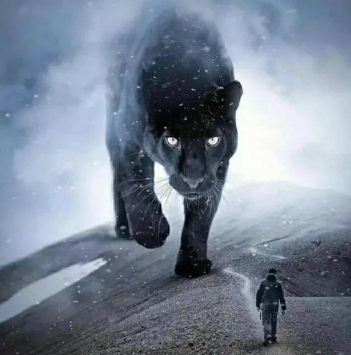 tcl科技股票深度解析,长期持有tcl科技股票