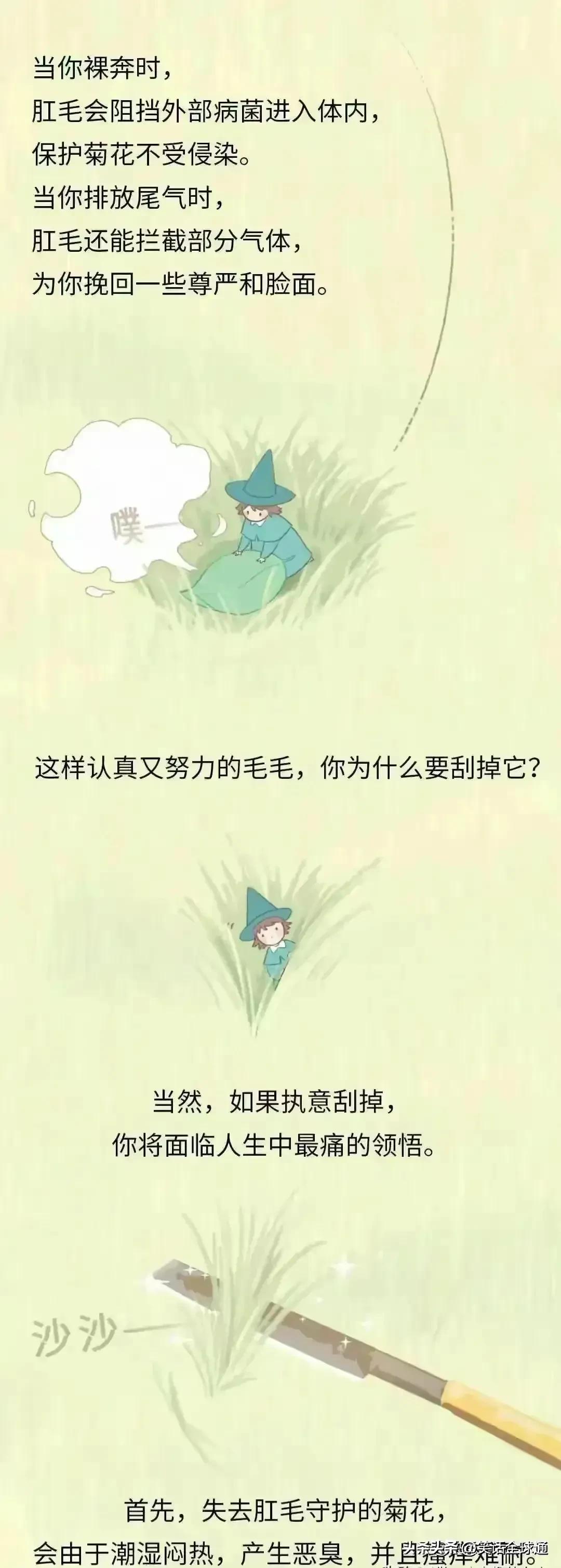 菊花毛、*处私**的毛能随便剃吗？有危害吗？