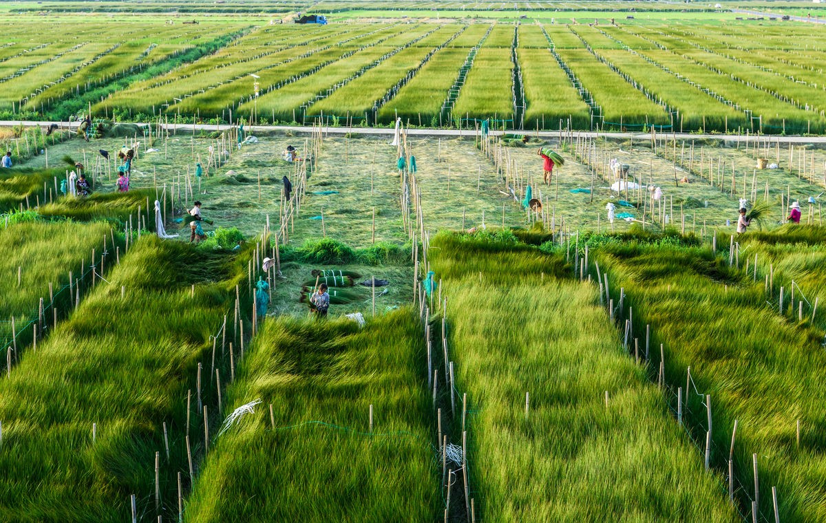 农业生态补偿意义,生态补偿促进农业产业化