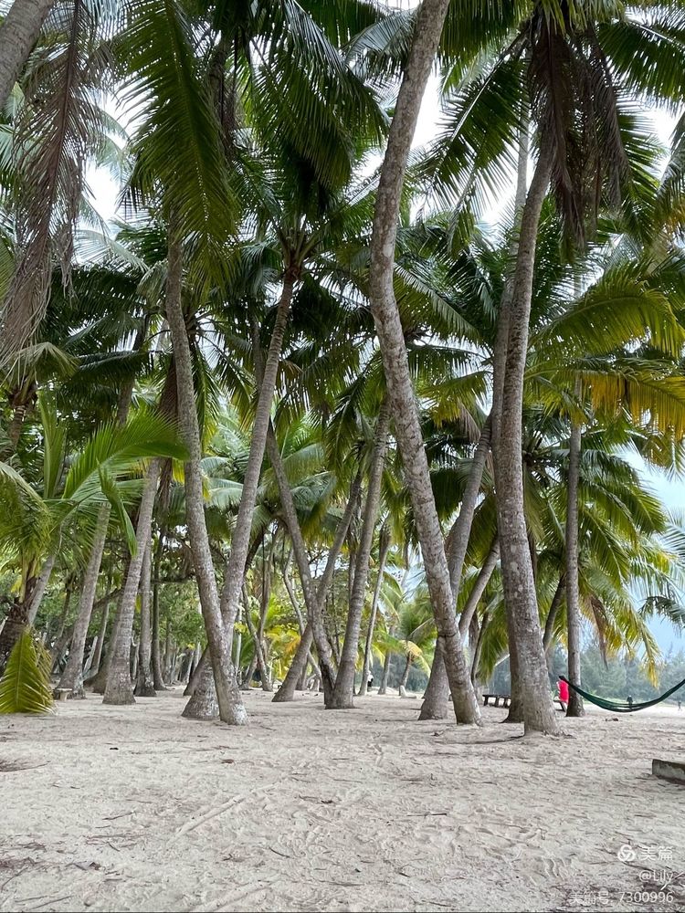 去临高县溜达,去海南溜达一圈