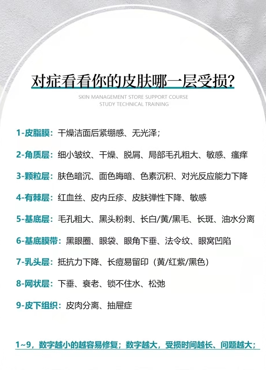 皮肤分几层图解,皮肤分几层角质层