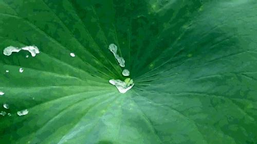 开车十年抓方向盘,车除雾不管用窗有雾怎么办