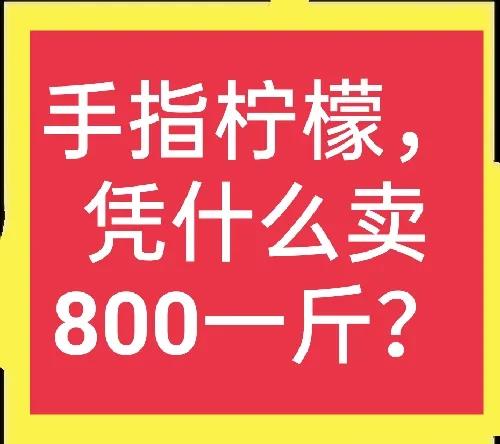 柠檬多少钱一斤最便宜的,广西手指柠檬多少钱