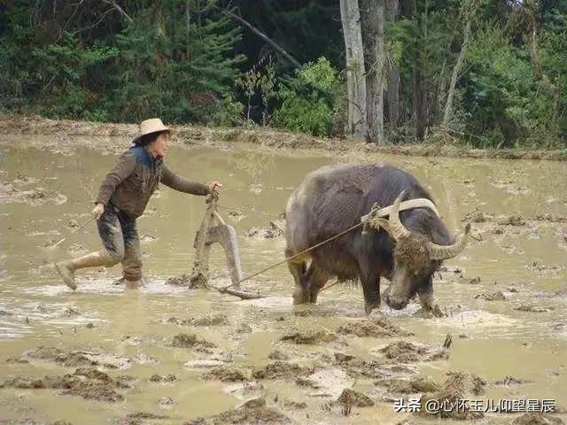 一旦发生战争需要购买什么物资,一旦战争打起来什么东西最不值钱