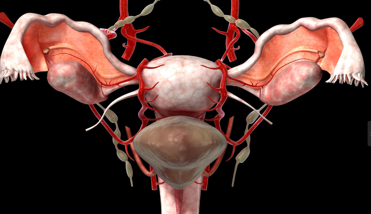 女性什么时候绝经比较好？绝经越迟，越容易长寿？很多人想错了