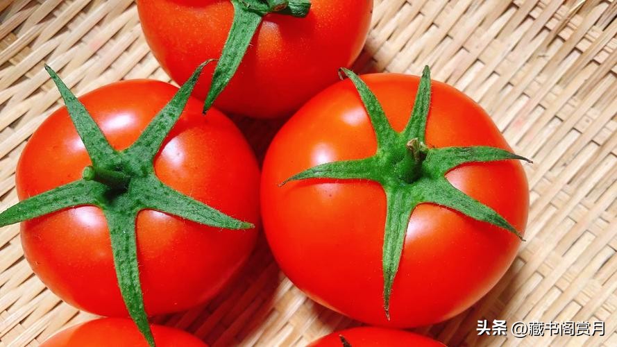 为什么大学教材质量差,为什么大学教材编写错误很多