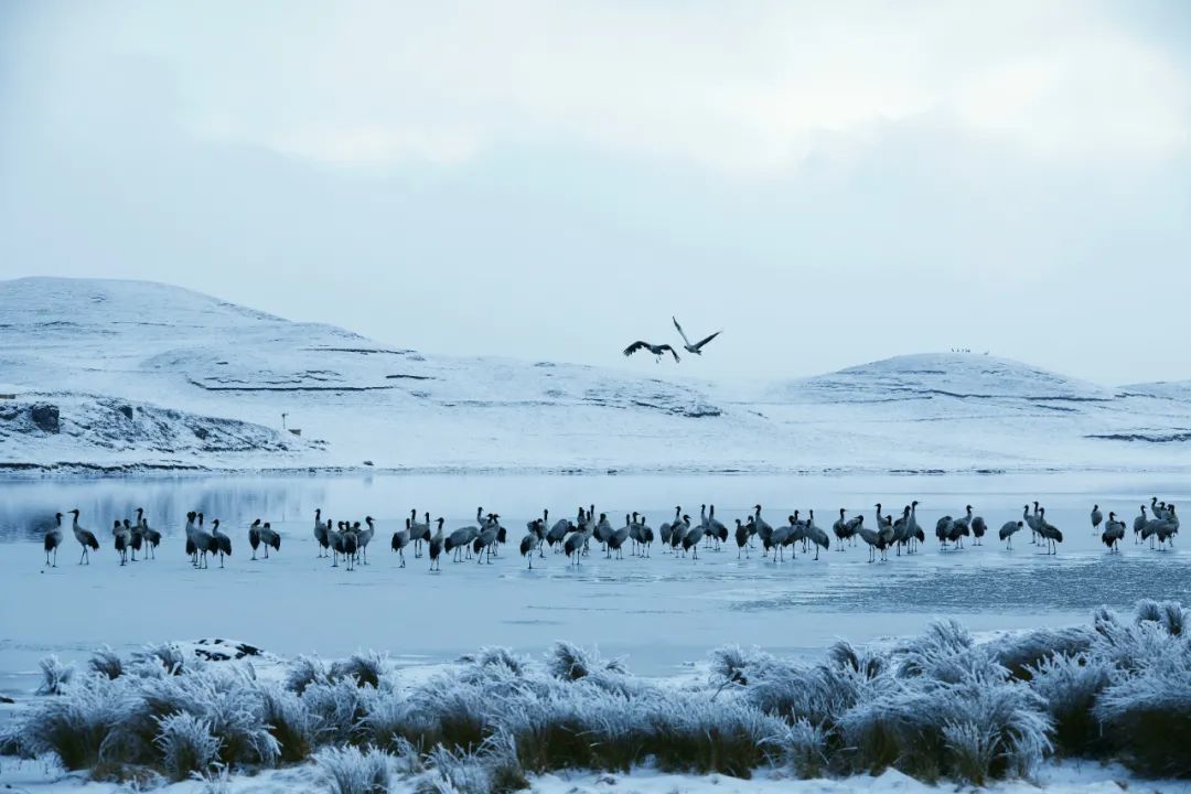 昆明七彩云南怎么样,七彩云南避暑家园