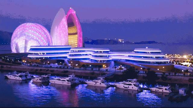 大湾区之珠海篇,2023优秀华裔大学生走进大湾区