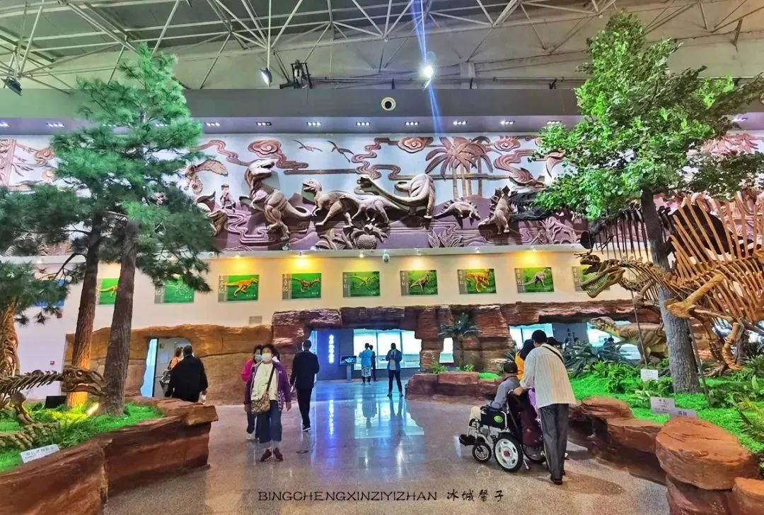 黑龙江恐龙之乡嘉荫县,中俄边境伊春市嘉荫县