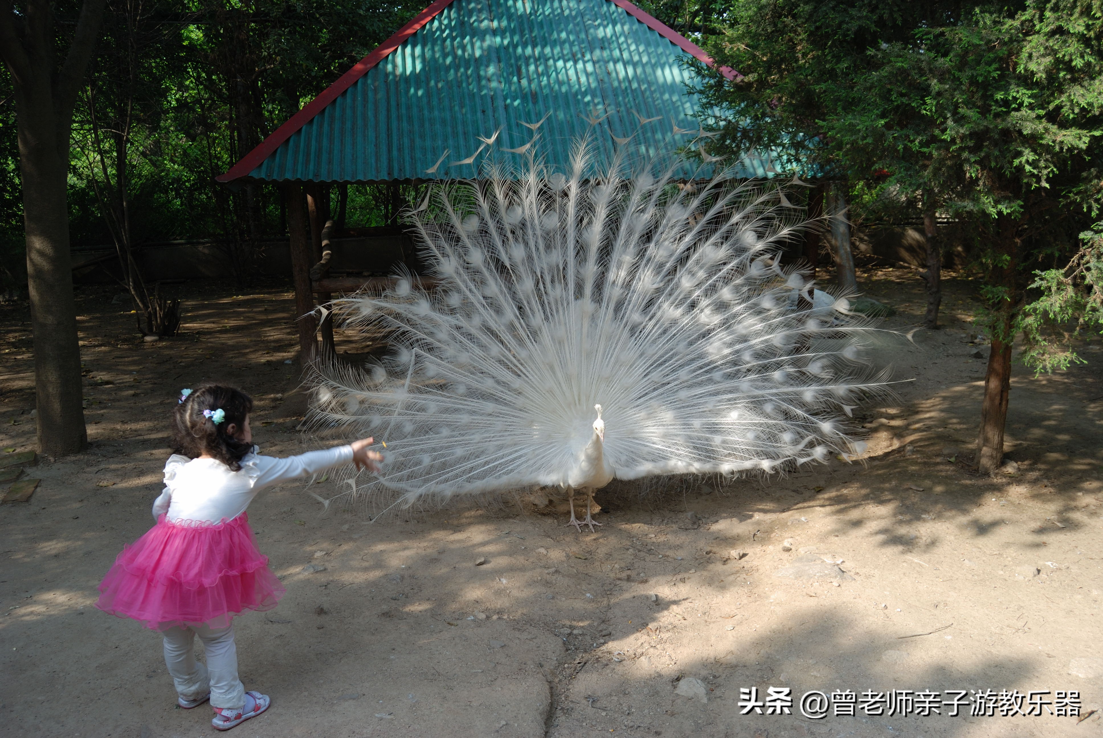 西安旅游五大必去景点秦岭,西安秦岭风景区旅游攻略
