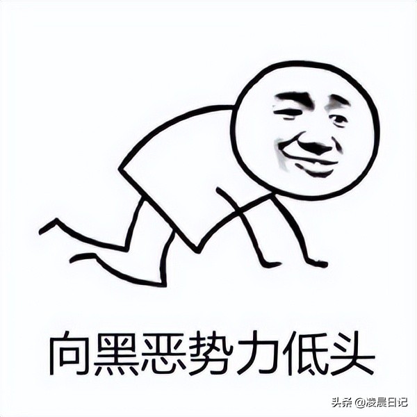 2022红火网络热语！秒懂才叫5G冲浪达人