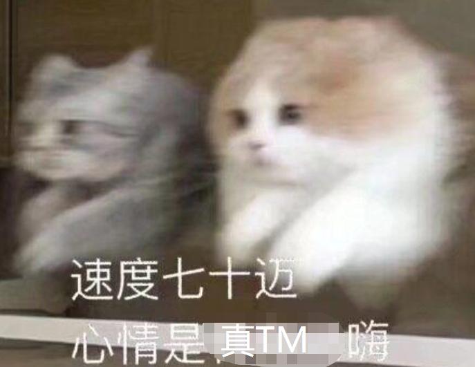 猩猩扔水瓶砸伤游客账号,动物园称猩猩砸伤游客系正当防卫