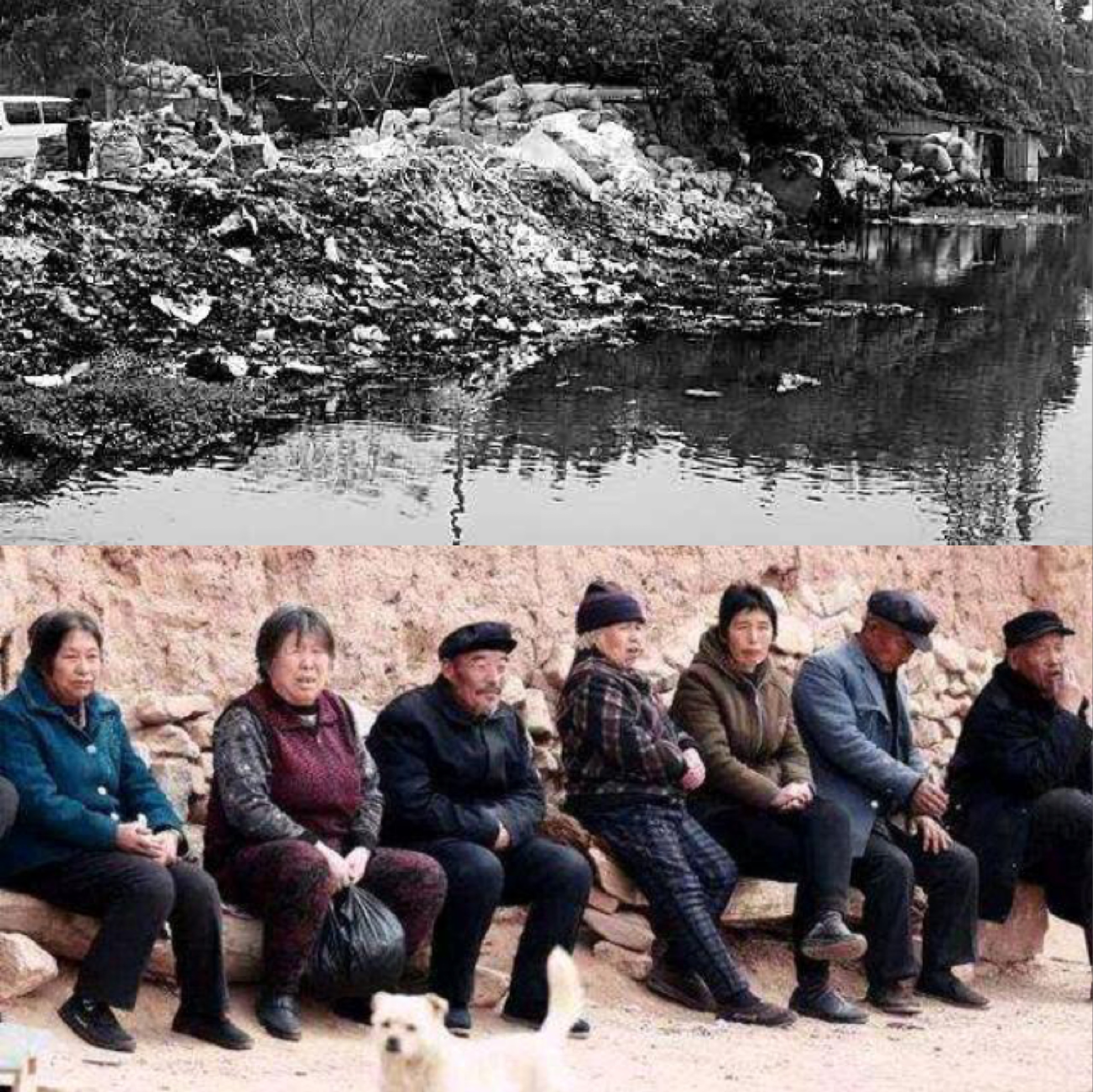 日本搞乡村振兴吗,日本乡村振兴的实践与启示