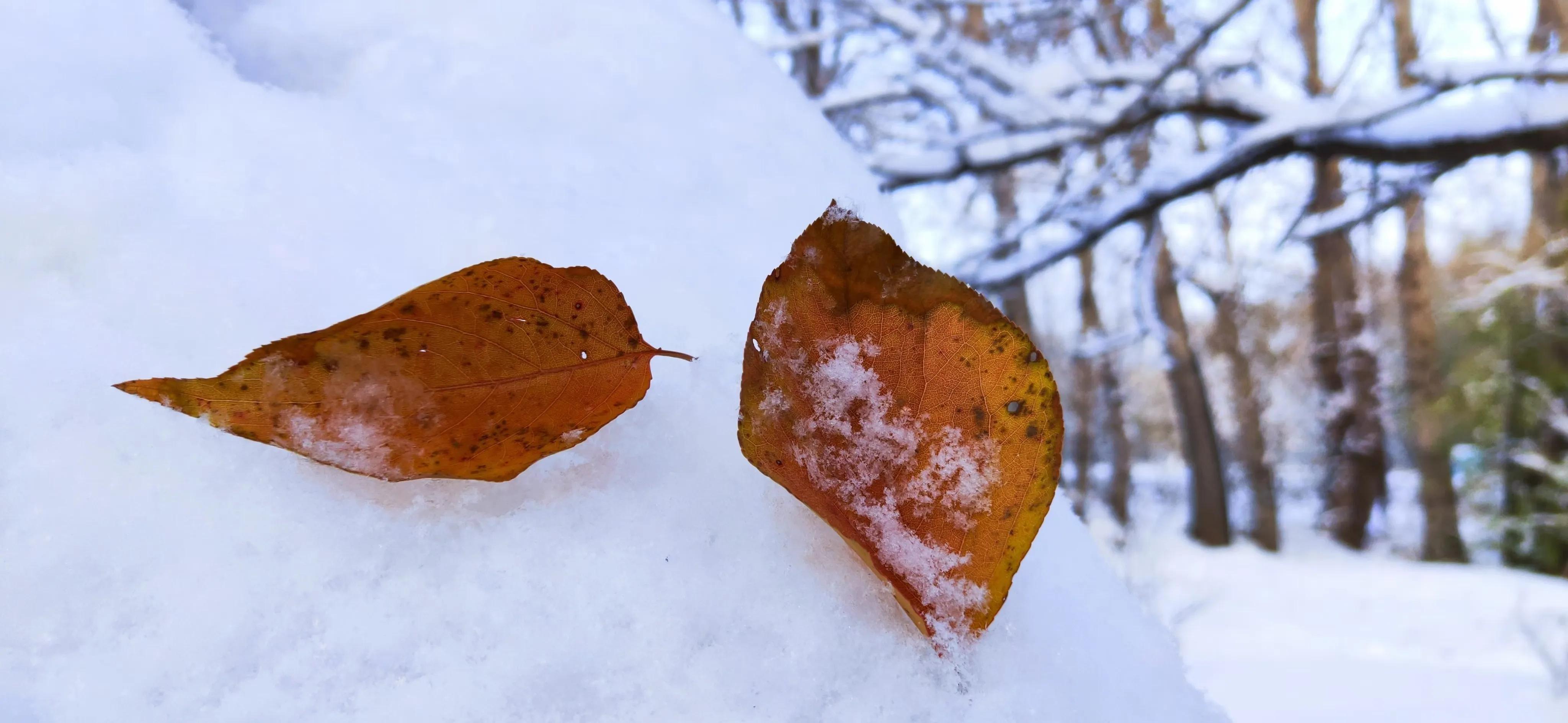 去医院看病人去两次合适吗,去医院看医生第二次还要预约吗