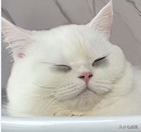 为什么杭州女生比较温柔,为什么杭州的女的那么多