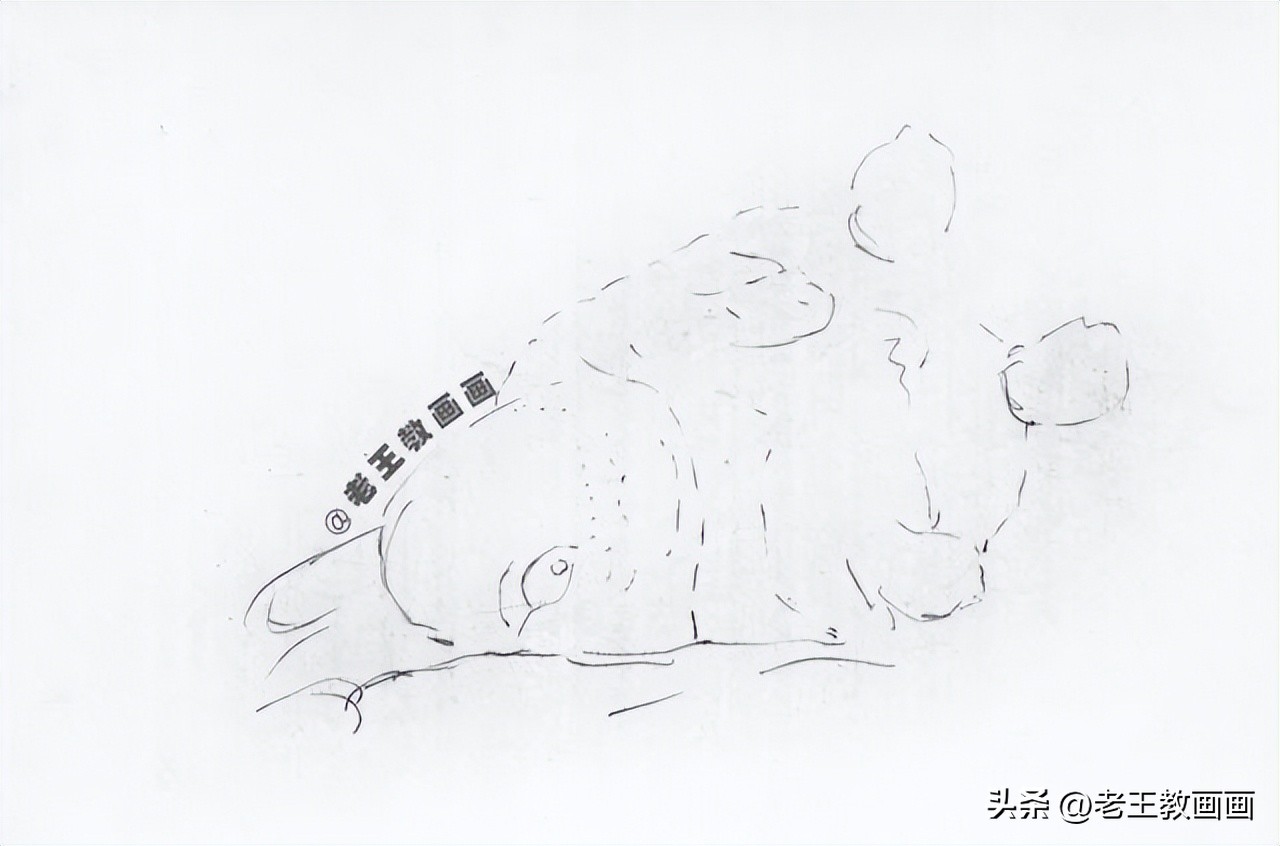 兔年怎么画一个好看的兔子,兔年到了怎么画一只兔子