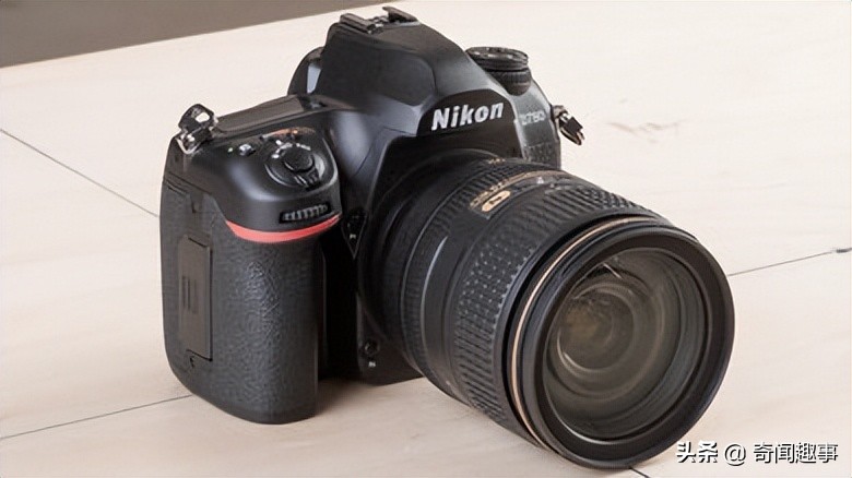 动物拍照最好的相机,哪种相机适合拍摄动物