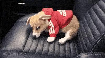 伴娘蹲角落里玩手机,伴娘躲在角落玩手机很漂亮