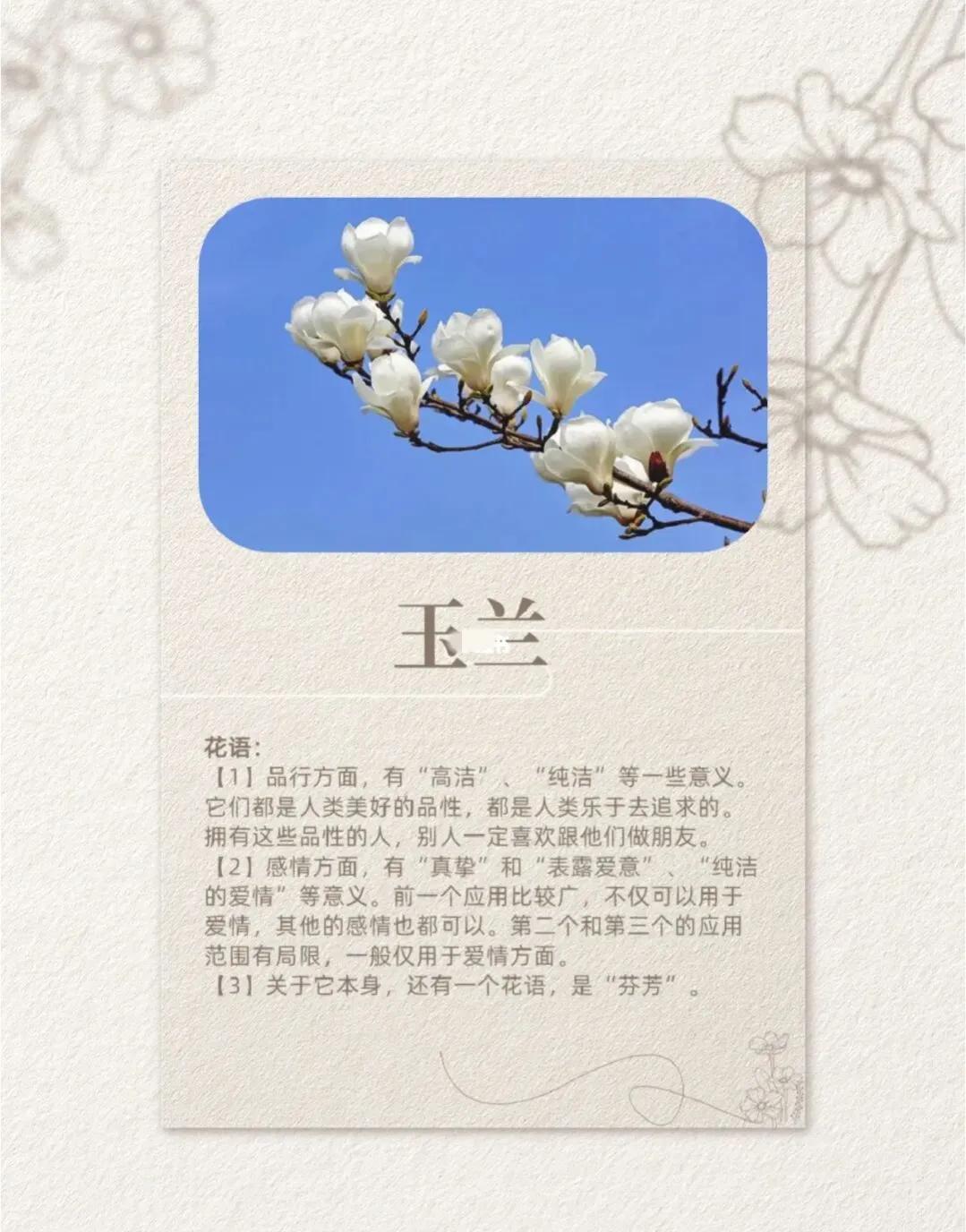 女人如花要浇水吗,女人如花要活得漂亮